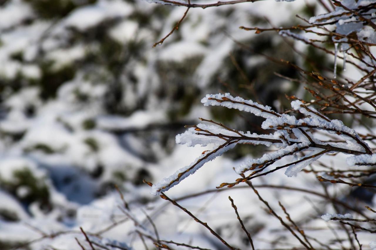 Eira Das Lages Seia Εξωτερικό φωτογραφία